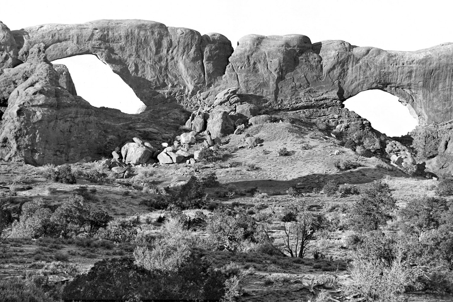 This is a photograph made during the Arches National Monument Scientific Expedition.